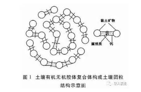 20200627138274022.jpg