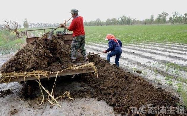粪与肥 生物有机肥