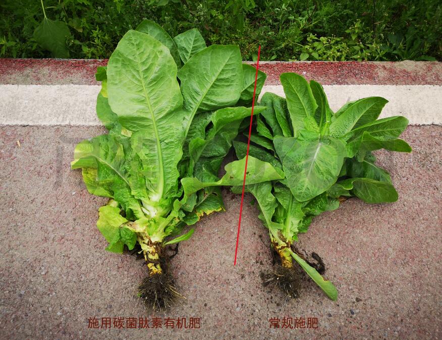 复合微生物肥适用于哪些作物，用法用量以及注意事项